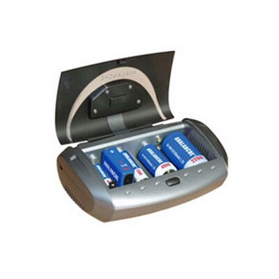 Зарядное устройство Avalanche ACH-141 для AA/AAA/C/D/9V, 1000/100 мА Изображение