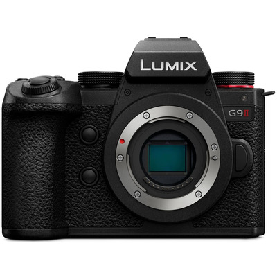 Бездзеркальна камера Panasonic Lumix DC-G9M2EE, 25.2 Мп, стабілізація, Wi-Fi Зображення