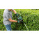 Проводной кусторез Bosch UniversalHedgeCut 50 480 Вт, 50 см ProSilence Изображение