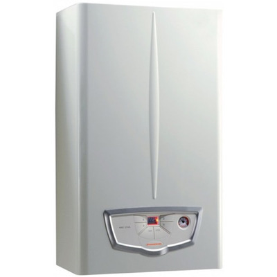 Газовый котел Immergas Nike Mythos 24 2 E, двухконтурный, 24 кВт Изображение