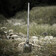 Лопата Naturehike NH20GJ002 3Cr13 мультифункціональна складна Зображення