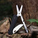 Мультитул Roxon KS S501U з клинком drop-point і ножицями Зображення