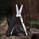 Мультитул Roxon KS S501U з клинком drop-point і ножицями Зображення