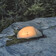 Намет Naturehike Cloud Up Pro CNK2350WS020 надлегкий двомісний Зображення