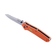 Ніж складний Firebird F7562-GR G10 440C drop-point 89 мм G-Lock Зображення