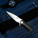 Ніж складний Firebird FH51-BK D2 Clip point 81 мм, G10 рукоять Зображення