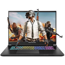 Ноутбук Dream Machines RX5080-18UA29 18