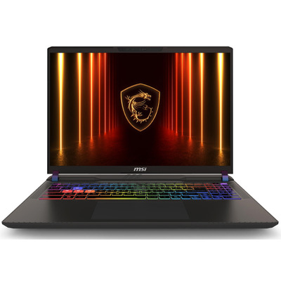 Ноутбук MSI Vector 16 HX AI A2XWHG-631XUA 16