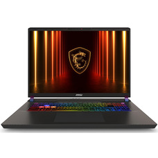 Ноутбук MSI Vector 17 HX AI A2XWHG-044XUA, 17