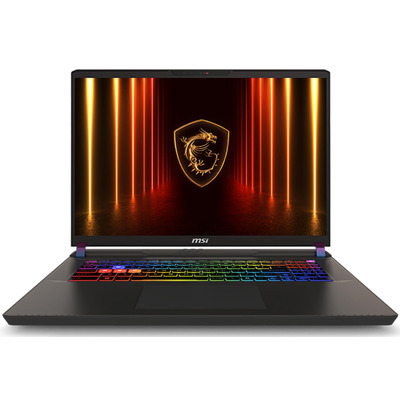 Ноутбук MSI Vector 17 HX AI A2XWHG-044XUA, 17
