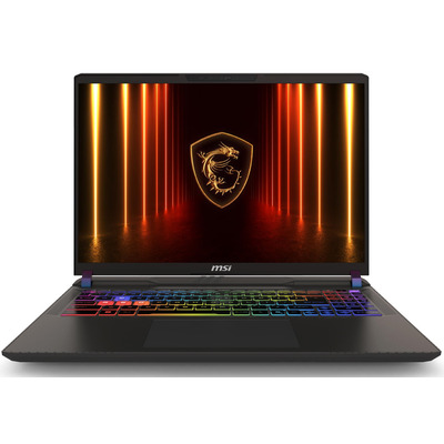 Ноутбук MSI Vector A16 HX A8WHG-019XUA 16