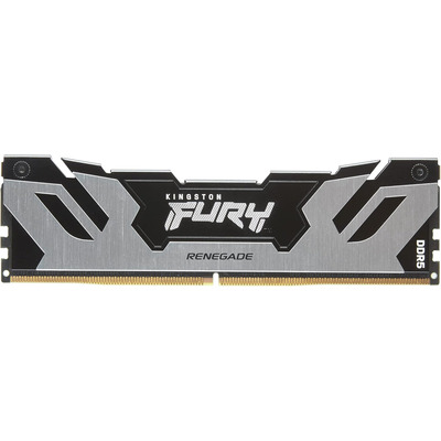 Оперативна пам’ять Kingston FURY Renegade DDR5 48 ГБ 6000 МГц XMP DIMM срібний Зображення