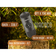 Портативна еспресо-кавоварка Wacaco Nanopresso Grey 18 бар 80 мл Зображення