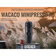 Портативна кавоварка Wacaco Minipresso NS для капсул Nespresso 8 бар Зображення
