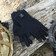 Рукавички водонепроникні DexShell ToughShield DG458NS, чорні Зображення