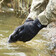 Рукавички водонепроникні DexShell ToughShield DG458NS, чорні Зображення