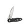 Складной нож Firebird FH71-BK G10 D2 Drop Point 199 мм Изображение