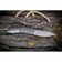 Складной нож Weknife Sine Wave WE23069B-2, M390, титановая рукоять Изображение