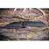 Складаний ніж Weknife High-Fin XL WE24010-1 CPM 20CV Зображення