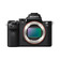 Цифровий фотоапарат Sony Alpha ILCE-7M2 корпус чорний, повнокадровий Зображення