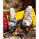 Спальный мешок Naturehike Snowbird NH20YD001 M, гусиный пух 350 г Изображение