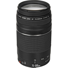 Телеобъектив Canon EF 75-300mm f/4.0-5.6 III для EOS, микро AF Изображение