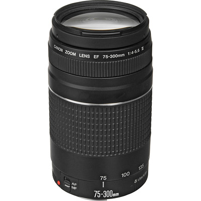 Телеоб'єктив Canon EF 75-300mm f/4.0-5.6 III для EOS, мікро AF Зображення