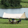 Тент Naturehike Girder NH20TM006 150D 300×438 см золотой 2 стойки Изображение