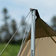 Тент Naturehike Girder NH20TM006 150D 300×438 см золотой 2 стойки Изображение