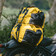 Дорожная водонепроницаемая сумка Naturehike CNK2450XB015 40 л, желтая Изображение